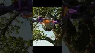 Drone Disaster! Swarm of Modern Drones Fly Into Wasp Nests and Crash! #drone #shorts #short