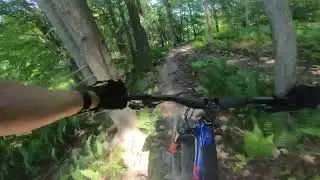 Marin Alpine Trail XR - First Ride, First Trail