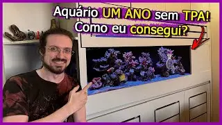 Como eu Mantenho meu Aquário Sem TPA há UM ANO!
