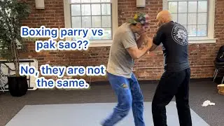 Boxing parry vs Wing Chun Pak sao?? No, they are not the same.