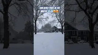 Should we play a game in the snow? #shorts #winter #baseball #wiffleball #sports