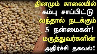 7 Medical Benefits of Eating Kambu! | Pearl Millet | Kambu Health Benefits | Nalam 360