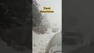 Ziarat balochistan snowfall #shorts #snow #balochistan #rashidameersiddiqui #ziarat
