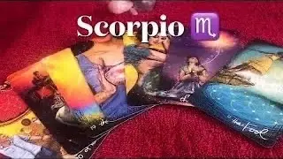 Гадание на картах Таро для Скорпионов о любви ~ 20 февраля ~ этот человек не торопится, он настро...