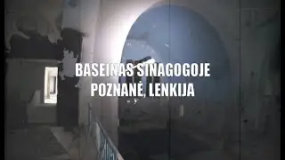 Praeities Žvalgas - Baseinas Buvusioje Sinagogoje | Poznanė, Lenkija