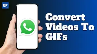 How To Convert Videos To GIFs On WhatsApp