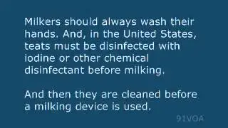 [91VOA]A Clean Farm Can Reduce Risk of Mastities