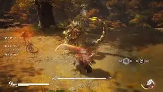 How to use Ebon Flow/Yin Tiger transfermation properly #blackmythwukonggameplay #blackmythwukong