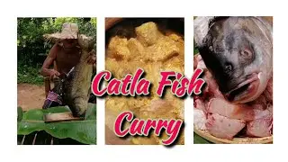 Preparing a Catla Fish Curry (කැට්ල කරිය) | Traditional Sri Lankan Village Cooking