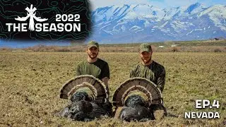 EPIC NEVADA WILD TURKEY HUNT