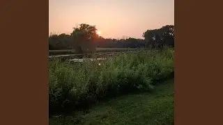 Protect the Neighborhood
