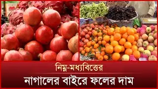 নিম্ন-মধ্যবিত্তের নাগালের বাইরে ফলের দাম | Fruit Price | Dhaka Fruit Market | News