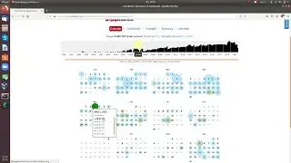 Checking the websites' past with Wayback Machine