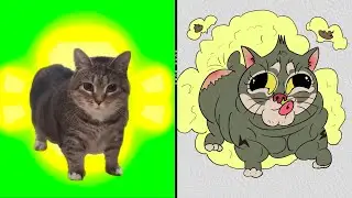W&W - OIIA OIIA (Spinning Cat) Drawing Memes