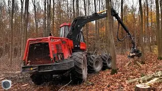 🌲 KOMATSU 941.1 - der rote Gigant im Laubholz | Forstbetrieb Rautenberg [4K]