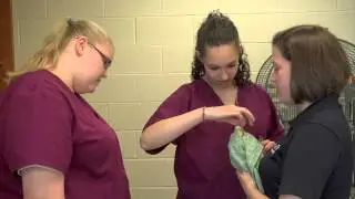 Veterinary Assisting at Franklin CareerTech