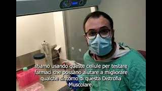 Colture di cellule dei pazienti con Distrofia Muscolare dei Cingoli 1F/D2 per testare farmaci
