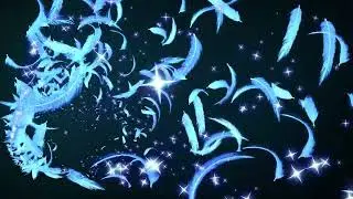 glow shiny feather particle loop animation