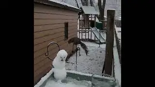 Pole Dancer