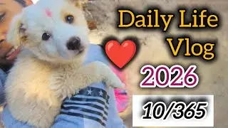 इसको छोड कर job में जाना मुश्किल है🐕🥹 पर जाना पड़ता है #yt#dailyvlog#petshub#vlog#viral#dailyvlog#vv