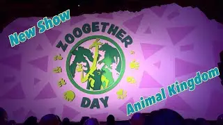A Chilly night at the Polynesian Resort and Chris&rsquo;s quick stop at Animal Kingdom.