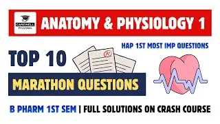 Hap 1st - Top 10 Marathon Questions | Hap 1st semester important questions | Carewell Pharma