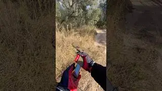 Springfield armory xd mod 3 9mm
