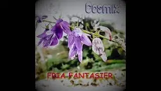 Cosmix orkester - Fria Fantasier- Text & Musik Mikael Eliasson
