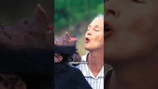 Jane Goodall: Primatologist Pioneer | Mini Bio 🐒🌿 #JaneGoodall #Primatology