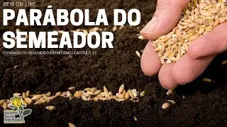 Palestra de domingo - Par&aacute;bola do Semeador - Simone Alves