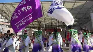 Docosoy竹松ゆかた組　きらきらフェスティバル in Sasebo ビーフラットショーケース YOSAKOIコーナー　251221
