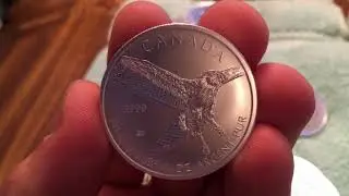 Unboxing 3.1 Lbs Canadian Silver Red Tailed Hawk Coins