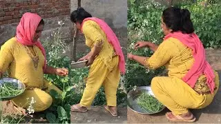 Punjab aunty village life vlog _ Home garden vegetable _ Desi house wife daily routine 