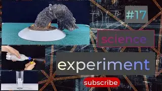 top 17 science experiment
