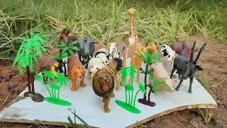 💦🐘 Mud Friends! Washing Dirty Animals & Learning Names  Fun Kids Video