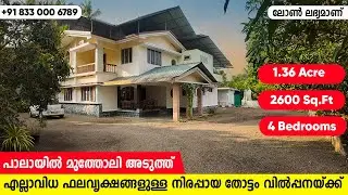 പാലായിൽ 1 ഏക്കർ സ്ഥലവും വീടും വിൽപ്പനയ്ക്ക് | 4 bedrooms | at Pala - Ettumanoor road | 1.36 Acre