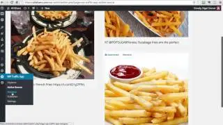 WP Traffic App Review
