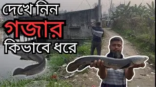 কেচোর টোপ দিয়ে বড় শৌল-গজার মাছ ধরা | Big Snakehead  Fish Catching in Earthworm Bait | #fishing