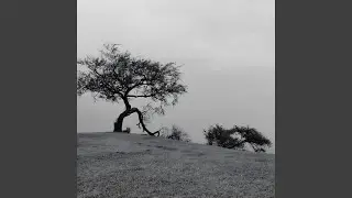nerves ↯ ambient crush layer
