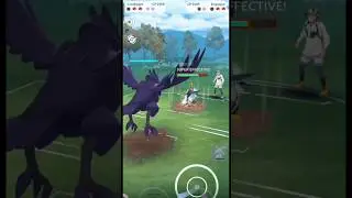 pok&eacute;mon go ultra league #shorts #pokemongo #youtubeshorts