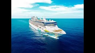 Star Navigator Cruise - Life onboard
