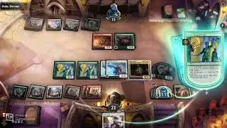 Magic The Gathering Fun Deck playing