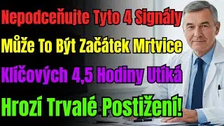 L&eacute;kaři S L&iacute;tost&iacute; Ř&iacute;kaj&iacute;: 80 % Lid&iacute; Ignoruje Tyto 4 Sign&aacute;ly Mrtvice. Konč&iacute; To Postižen&iacute;m!