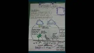 Know about Nitrogen Cycle || Science Basic of Nitrogen Cycle