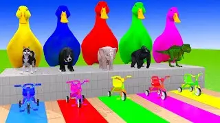 Long Slide Game With Cow Elephant Gorilla Hippopotamus Tiger 3d Animal Game Funny 3d Animals