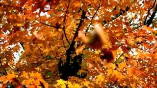 Andre Sobota (Remix) Darin Epsilon 