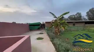 فيرمة للبيع في الشراط 5 دقايق على البحر✨ نصف هكتار بوكس الخيل و باب مباشرة على الغابة و الطبيعة 🌲🌳