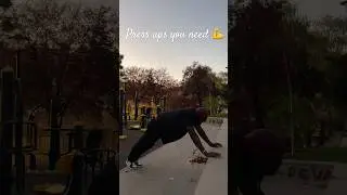 The Park Press-Up Disaster That Changed Fitness Forever