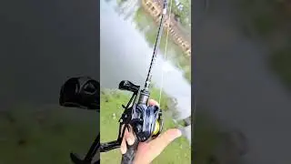 Expert graphite RDX baitcasting reel clicker sound