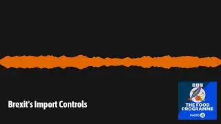 Brexit's Import Controls | The Food Programme